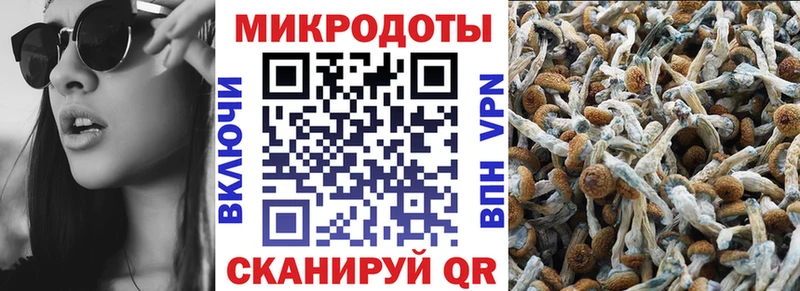 Галлюциногенные грибы Cubensis  Балаково 